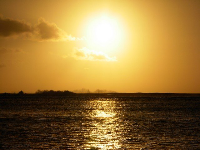 Mauritius 2007 - 301